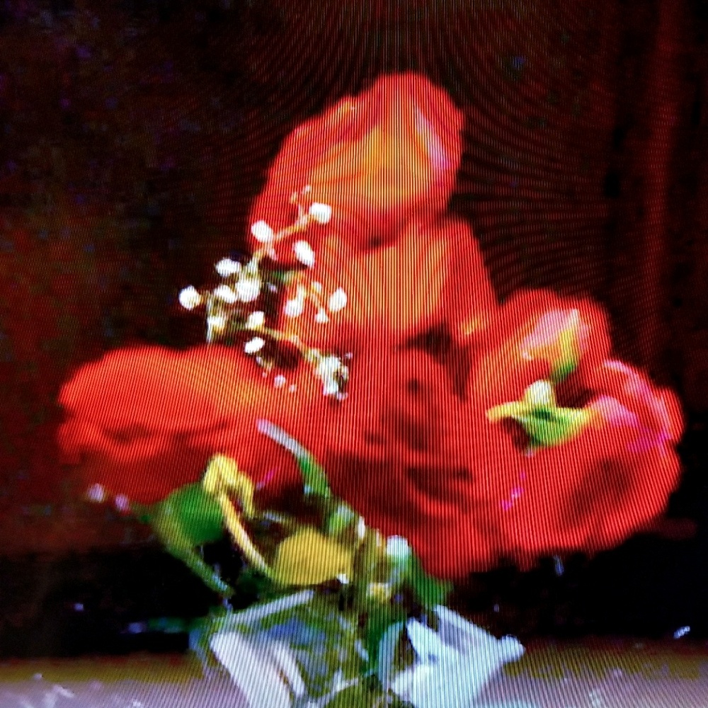 Meet your Posher, Rosa